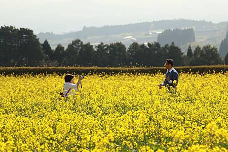 生駒高原 (254)