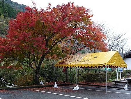 楓日本九州 一目八景 帶相機去旅行 痞客邦