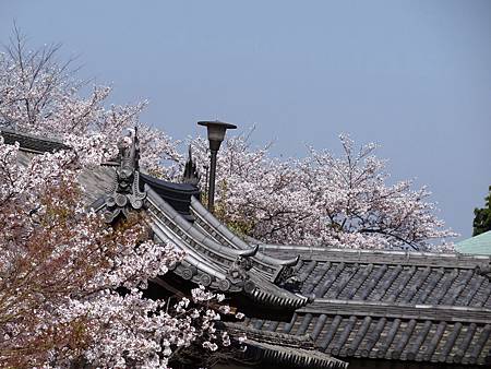 法隆寺