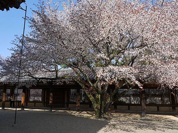 法隆寺