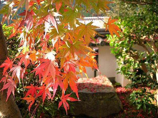 比叡山延歷寺 (34)