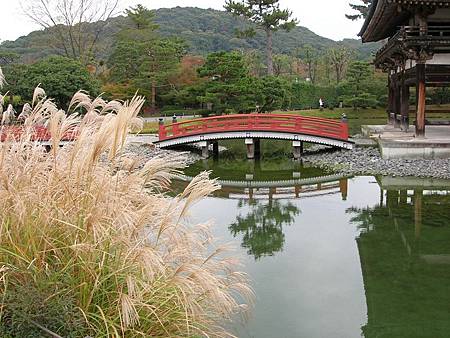 平等院 (14)