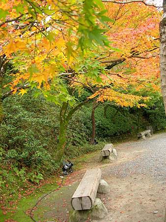 平等院 (40)