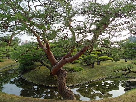 栗林公園 (17)