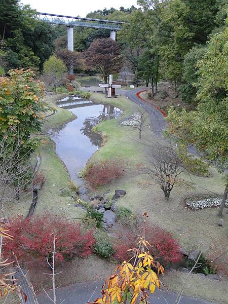 鳥取花廻廊 (10).JPG