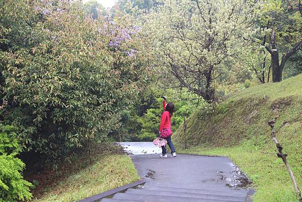 高岡公園 (11)