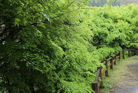 高岡公園 (13)