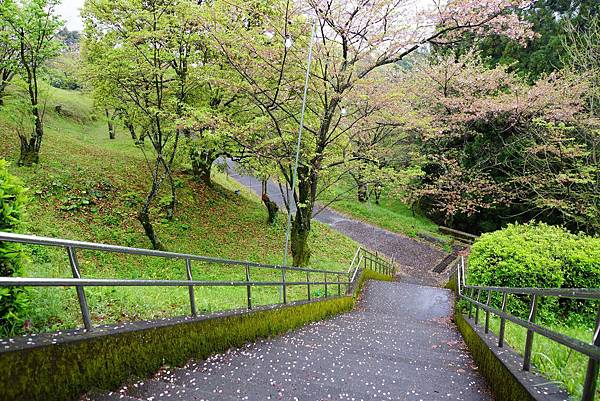 高崗公園 (18)