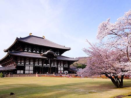 東大寺 (8)