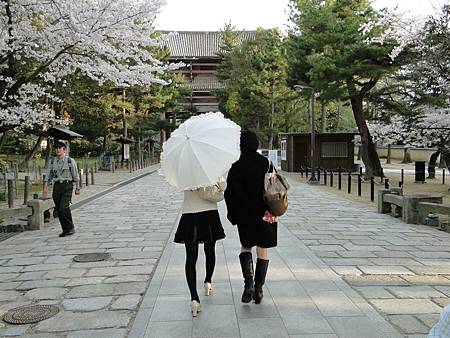 東大寺 (78)