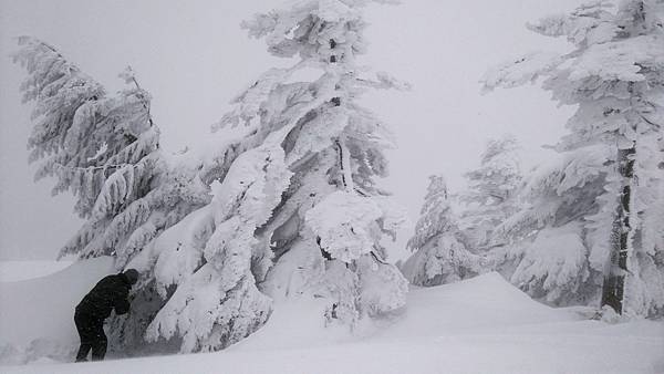 雪怪車 (5)