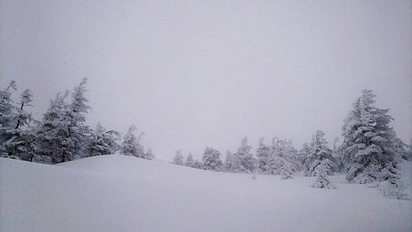 雪怪車 (10)