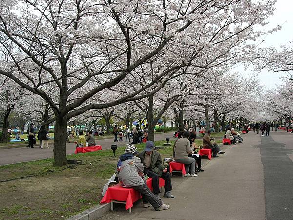 萬博紀念公園 (8)