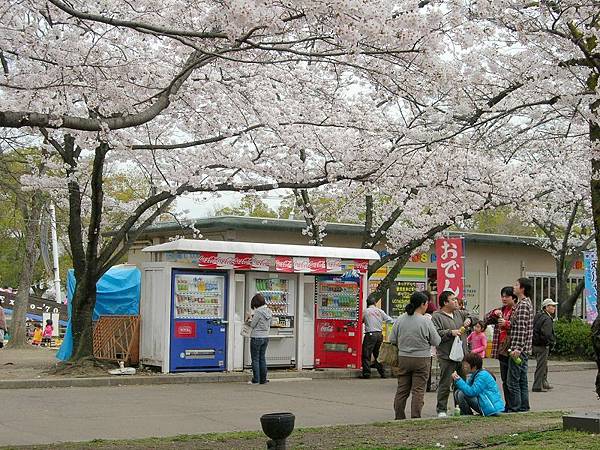 萬博紀念公園 (21)