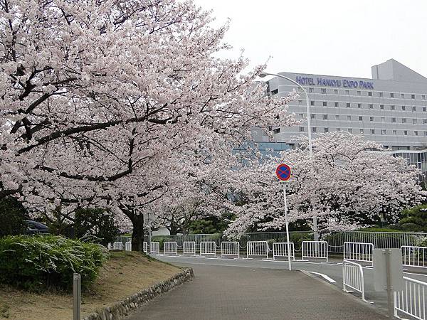 大阪萬博紀念公園