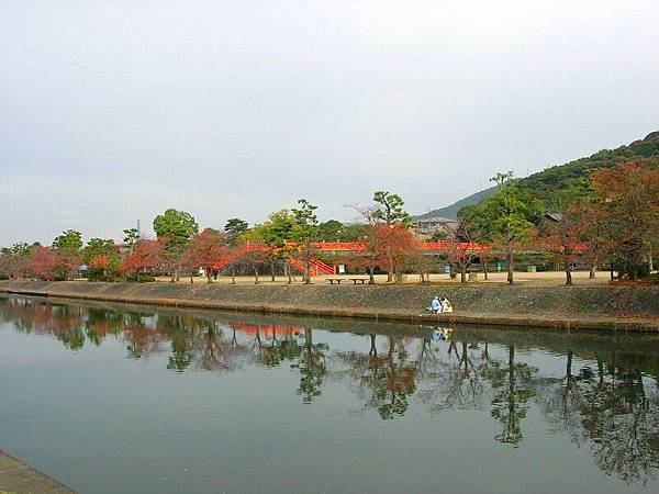 宇治抹茶體驗 (4)