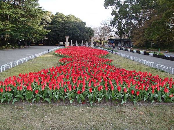 京都府立植物園 (101)