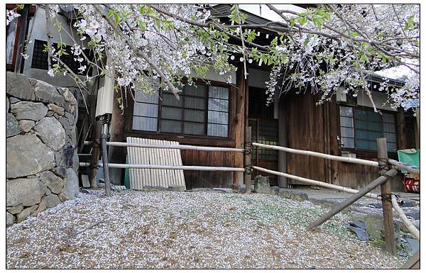 冰室神社 (100)