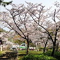 神戶須磨浦公園 (4)