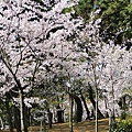 神戶須磨浦公園 (32)