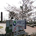 神戶須磨浦公園 (51)