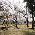 須磨浦公園 (6)