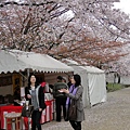 醍醐寺 (20)