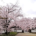 醍醐寺 (209)