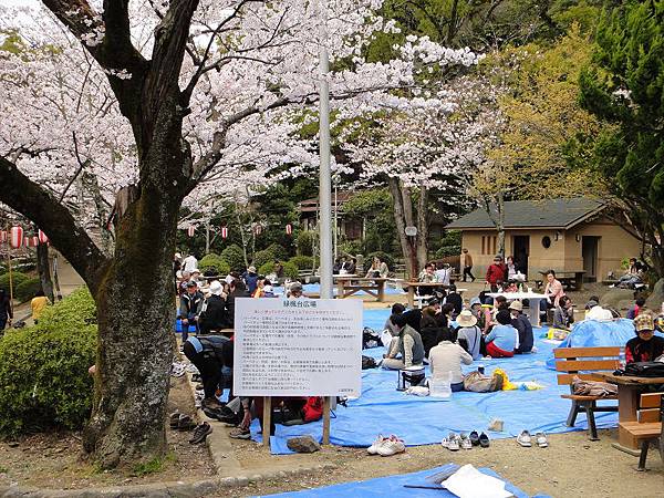 五月山公園 (5)