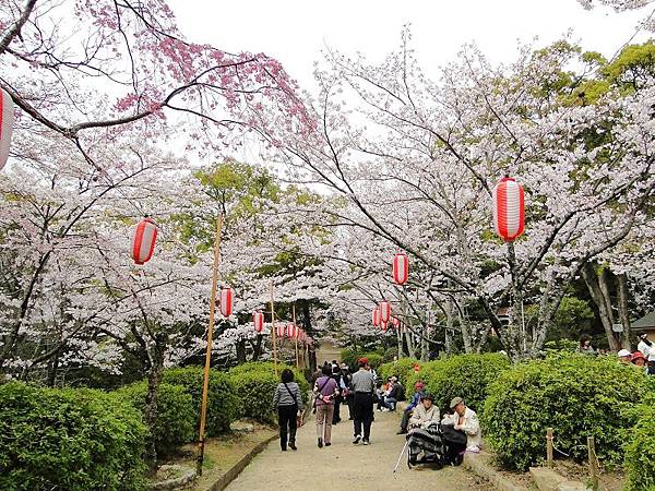 五月山公園 (29)