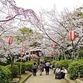 五月山公園 (29)