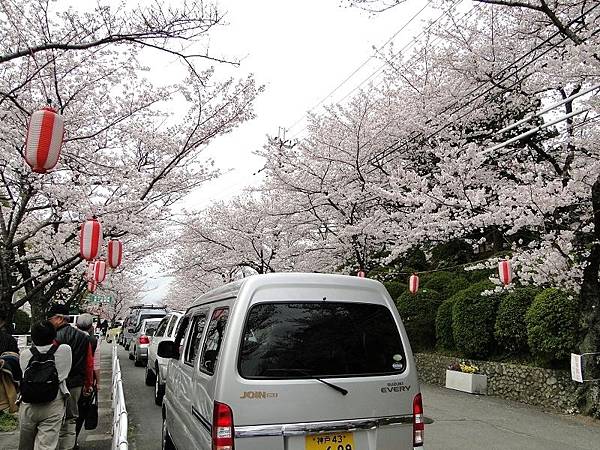 五月山公園 (39)