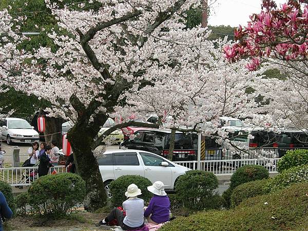 五月山公園 (63)