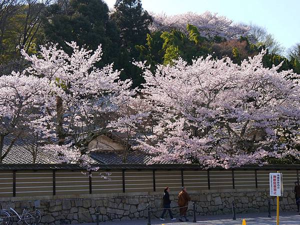 石山寺 (187)