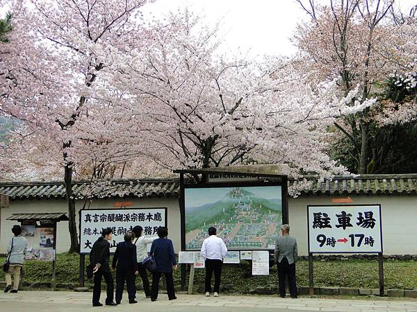 醍醐寺 (280)