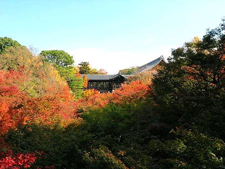 東福寺 (69)