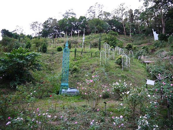 雅聞七里香玫瑰莊園 (85)