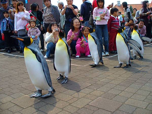 尼克斯海洋公園 (18)