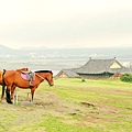 城山日出峰 (5).JPG