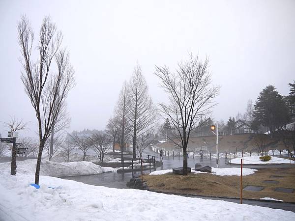 滑雪 (11) 滑雪 (11)