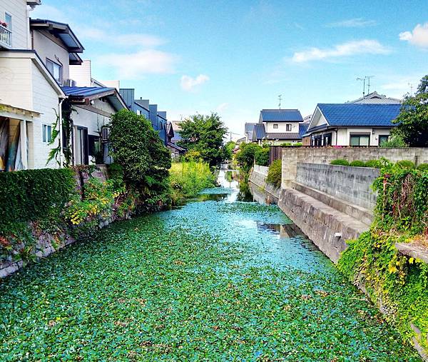 佐賀城下町  (21)