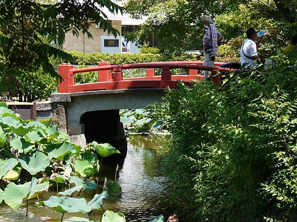 鶴岡八幡宮 (4)