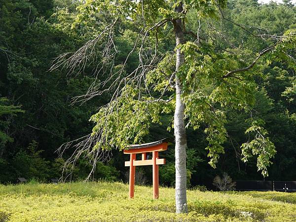 忍野忍者村 (126).JPG