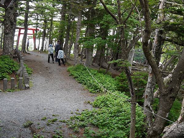 富士山五合目 (89).JPG