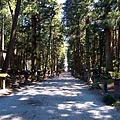 淺間神社 (14).jpg