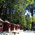 淺間神社 (77).jpg