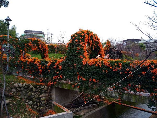 鶯歌永吉公園