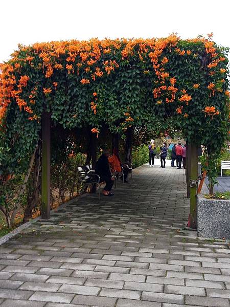 鶯歌永吉公園