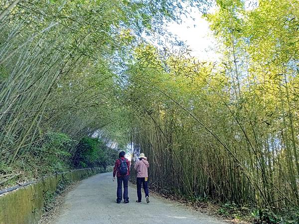 台版嵐山烏嗄彥竹林