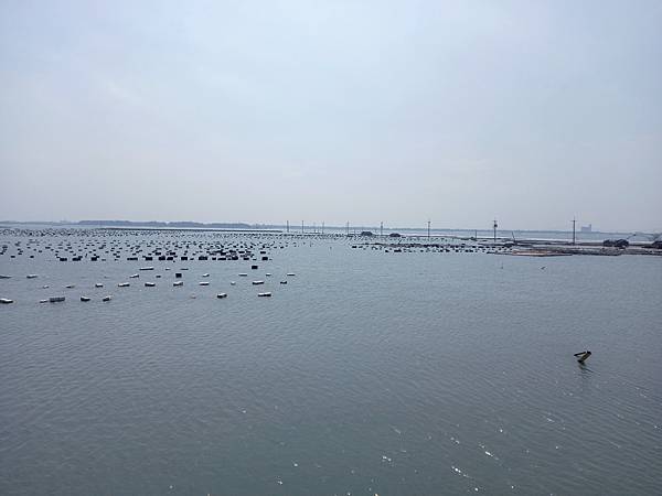 壽島白水湖 (65).jpg